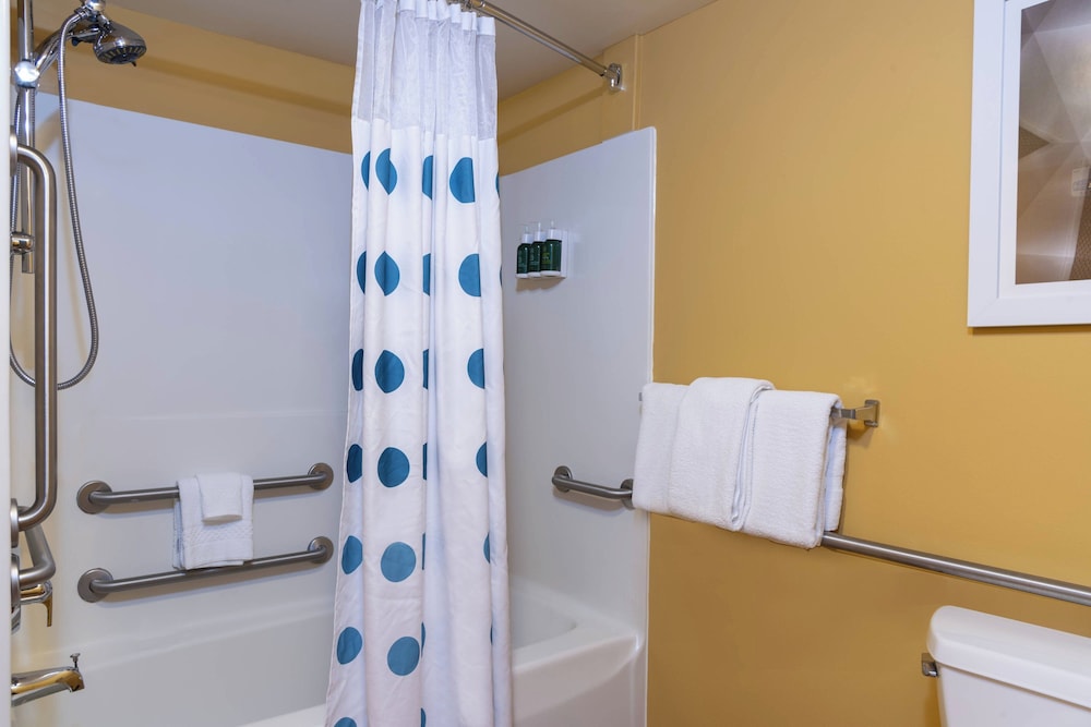 Towneplace Suites by Marriott East Lansing - photo 15