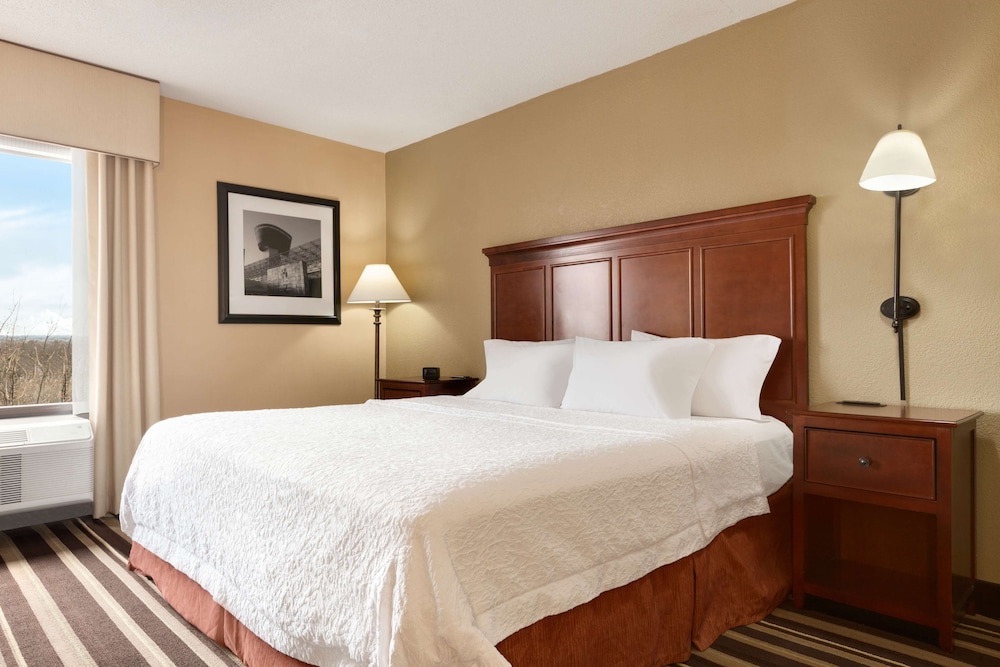 Hampton Inn Washington Dulles Int'l Airport South - photo 5