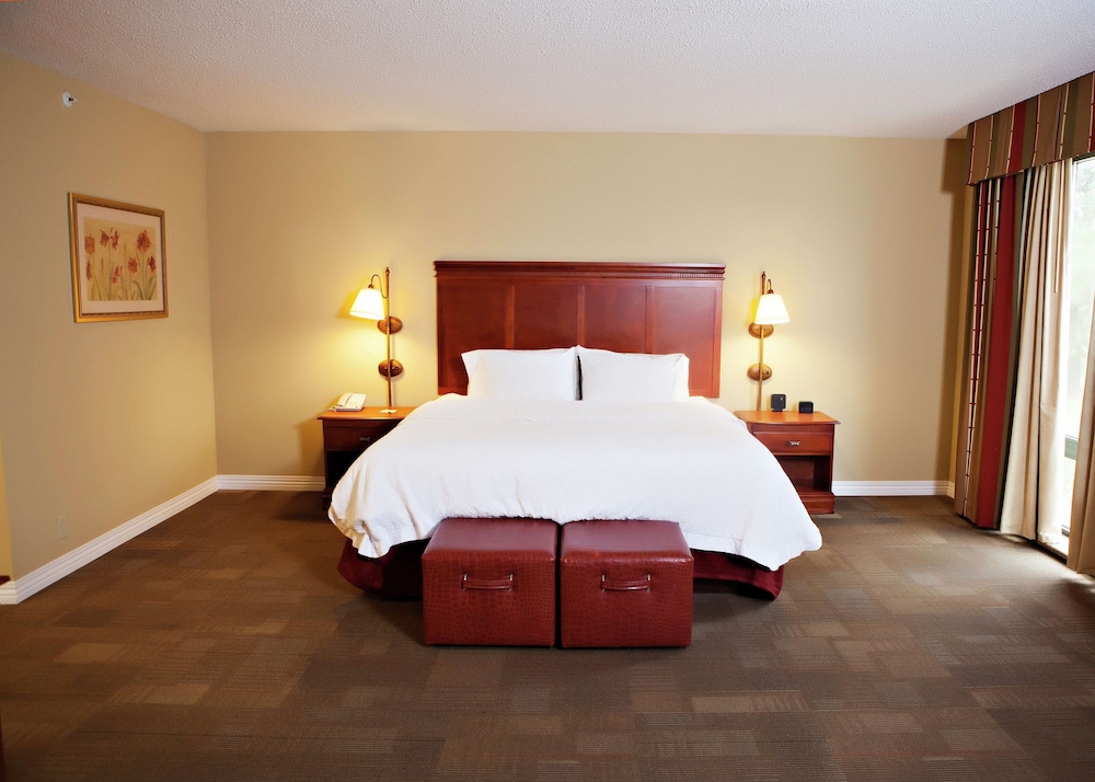 Hampton Inn Martin - photo 8