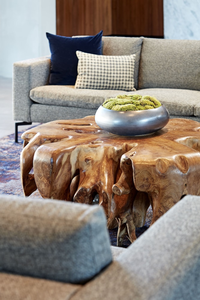 AC Hotel by Marriott San Jose Santa Clara - photo 3