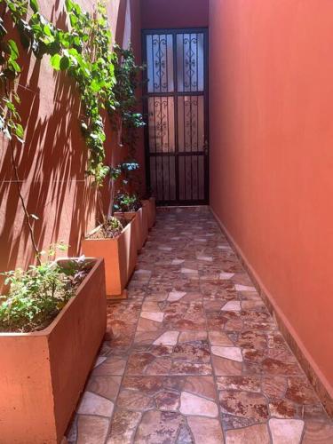Step into our little oasis — Marrakesh — photo 2
