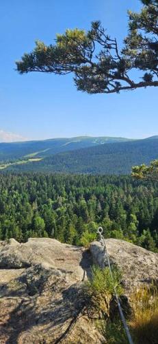 Le Perchoir de l'Olme - carbon neutral hotel in Unknown City