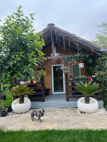 Cabana Sorina in Corbu, Romania