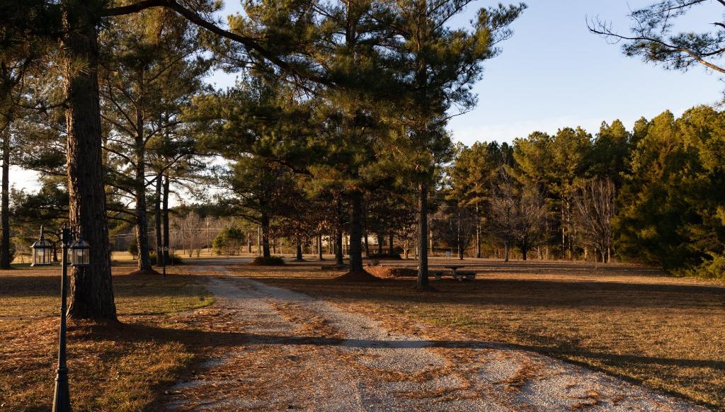 Moon Lake Farm - photo 16