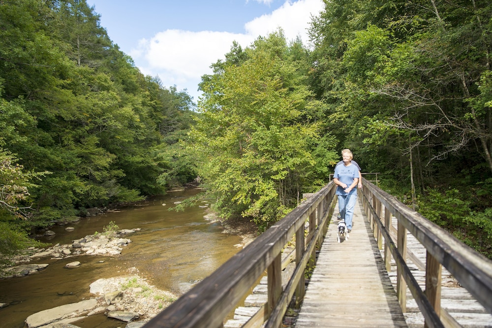 Pine Mountain State Resort Park - photo 29