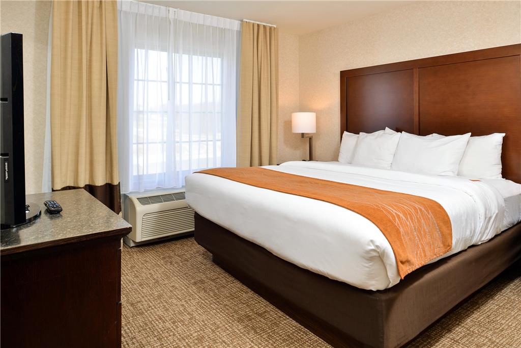 Comfort Inn & Suites Madison North - photo 15