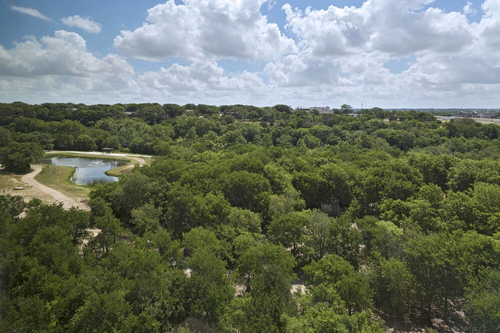 Sheraton Austin Georgetown Hotel & Conference Center - photo 8