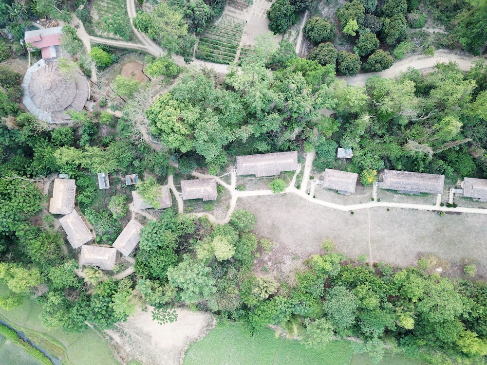 Temple Tiger Green Jungle Resort in Bharatpur, Nepal