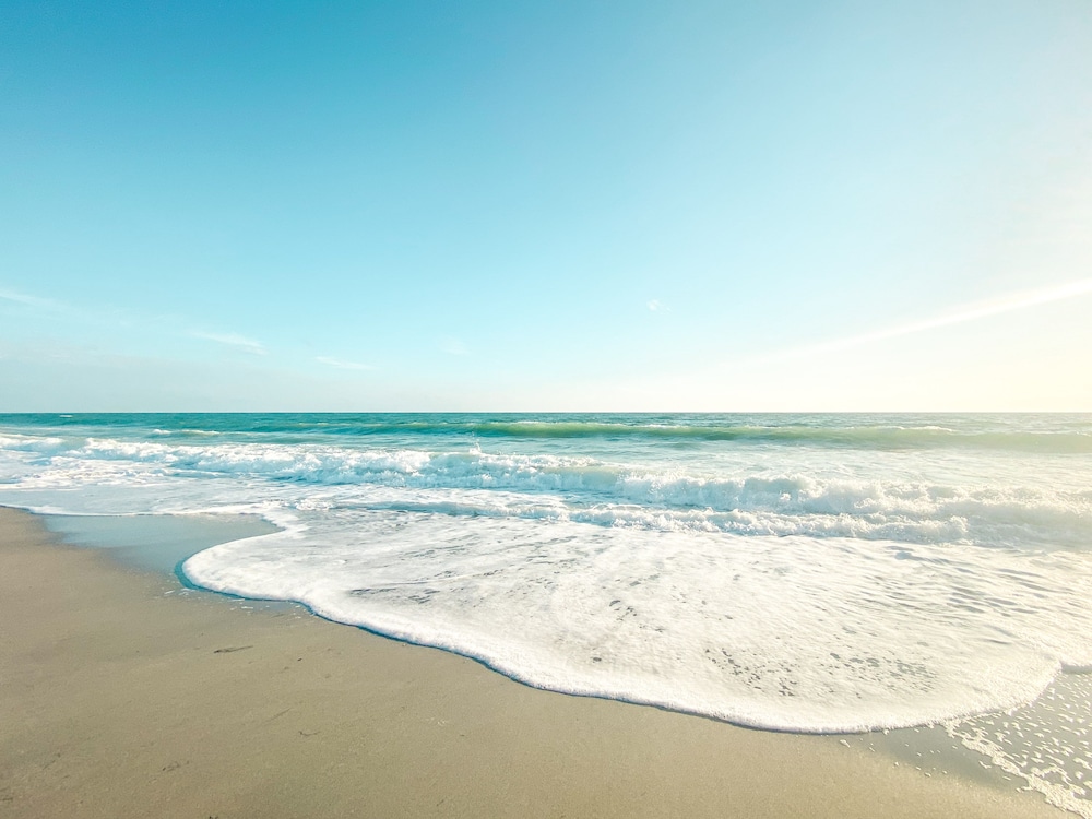 Manasota Key Resort - photo 91