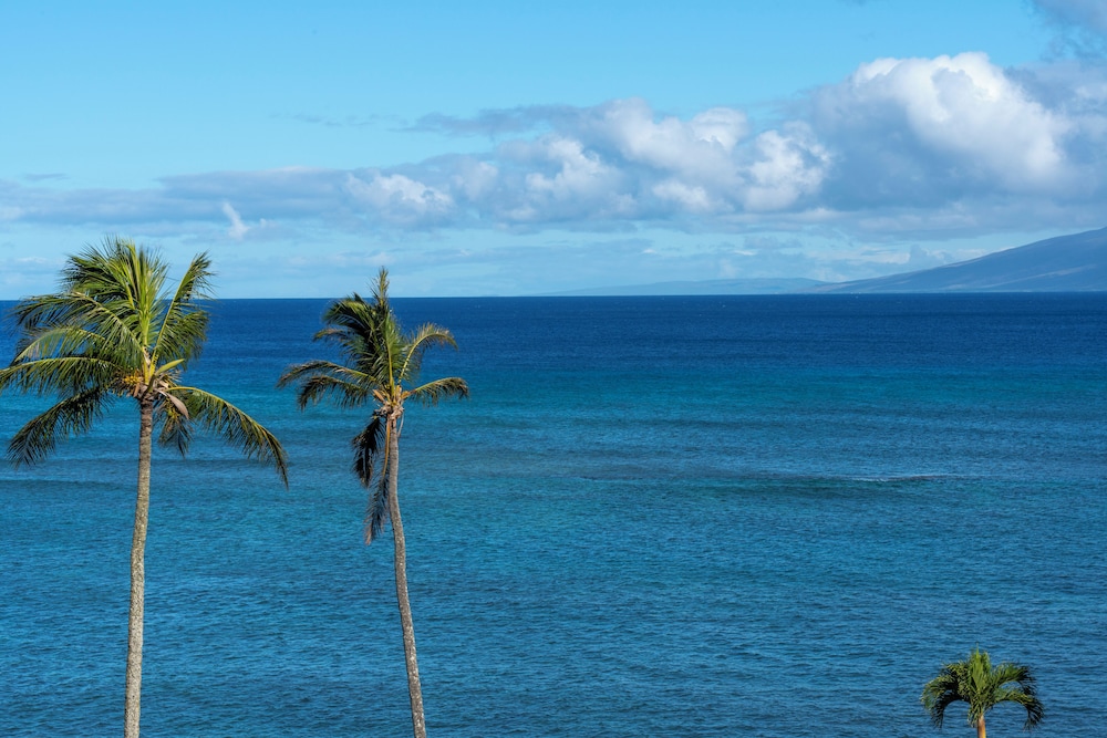 Royal Kahana Maui By Outrigger - photo 775