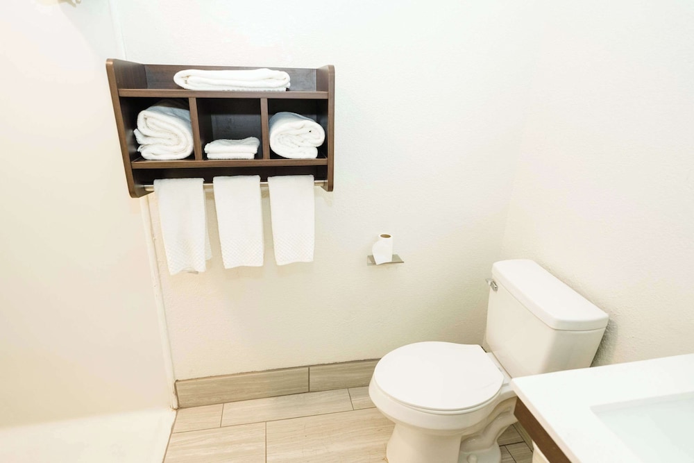 Mainstay Suites Knoxville Airport - photo 20