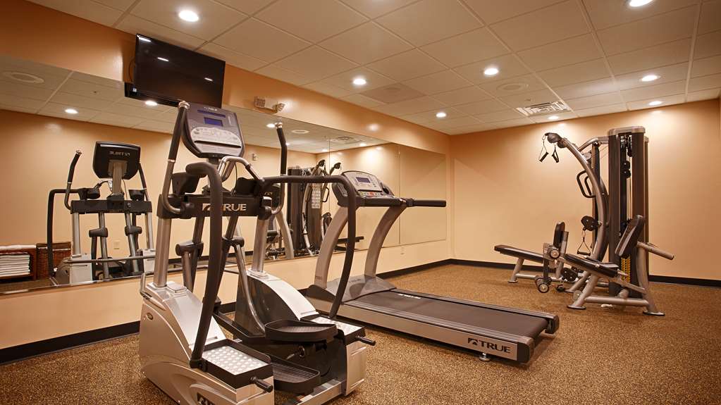 Best Western Plus Finger Lakes Inn & Suites - photo 24