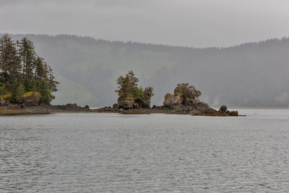 Sea Parrot Inn - photo 34