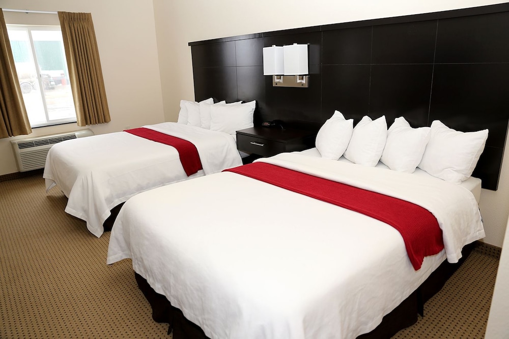Black Gold Suites Stanley - photo 5