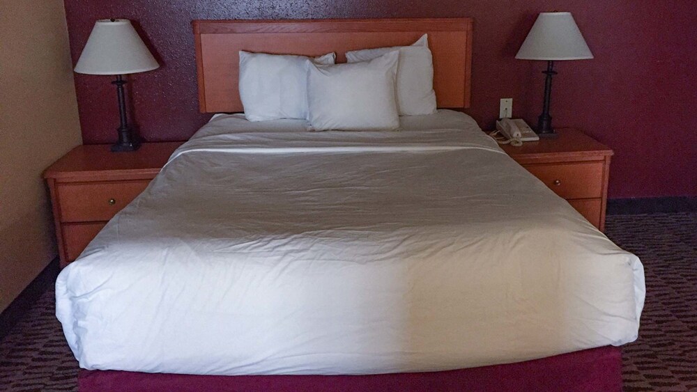 Hawthorn Suites by Wyndham Airport Columbus East - photo 8