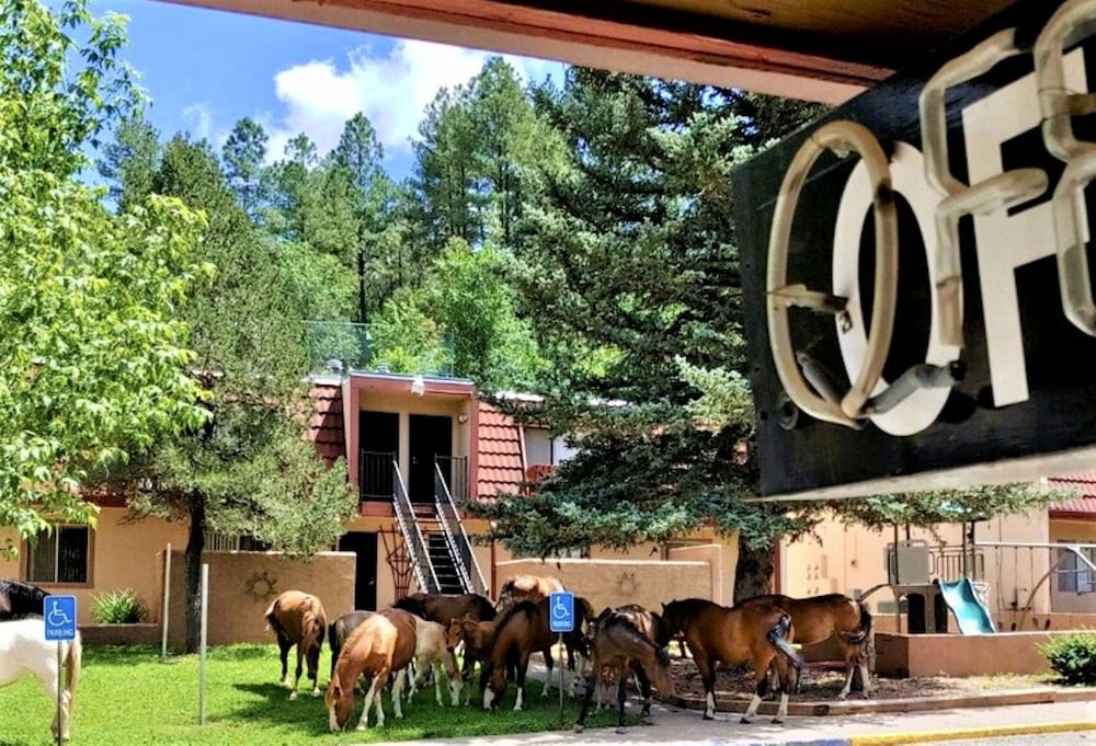 Pinecliff Village Resort - photo 7
