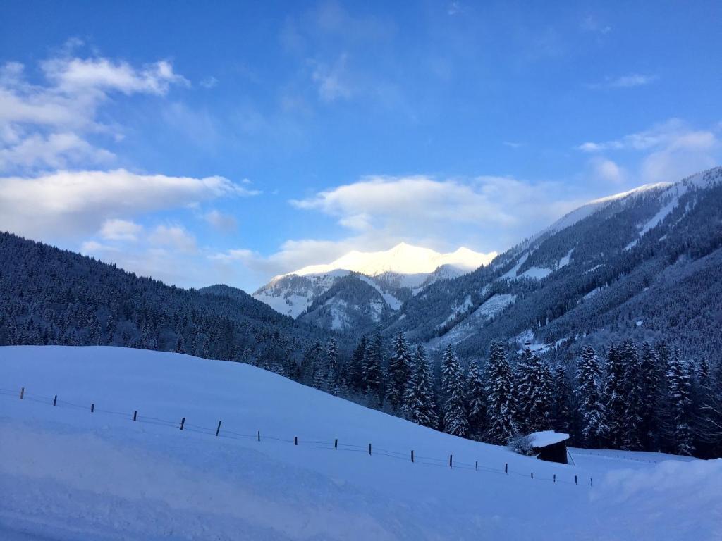 Ferienwohnung Almflair Chalet — 4-Star Luxury Hotel in Thiersee, Austria