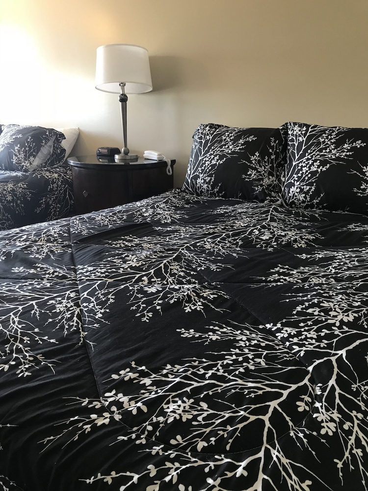 White Birches Motel - photo 13