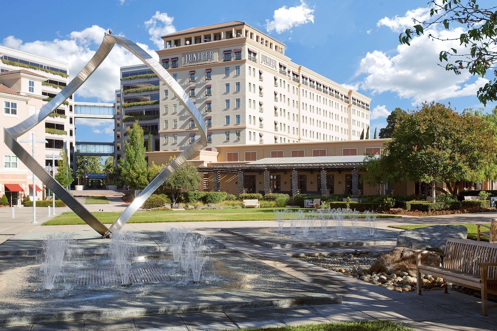 Juniper Hotel Cupertino Curio Collection by Hilton - photo 51