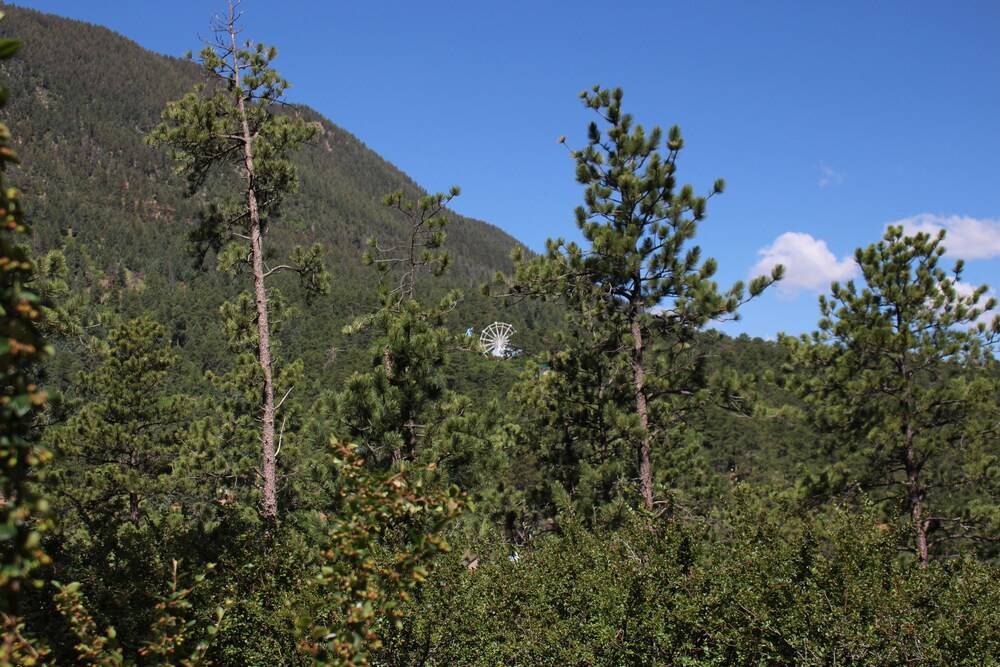 Pikes Peak Guest Cabin at Rocky Mountain Lodge - photo 28