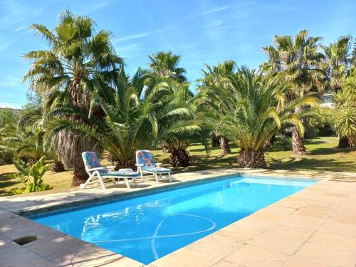 The Farmhouse Palm Tree Cabin — 4-Star Luxury Hotel in Stellenbosch, South Africa