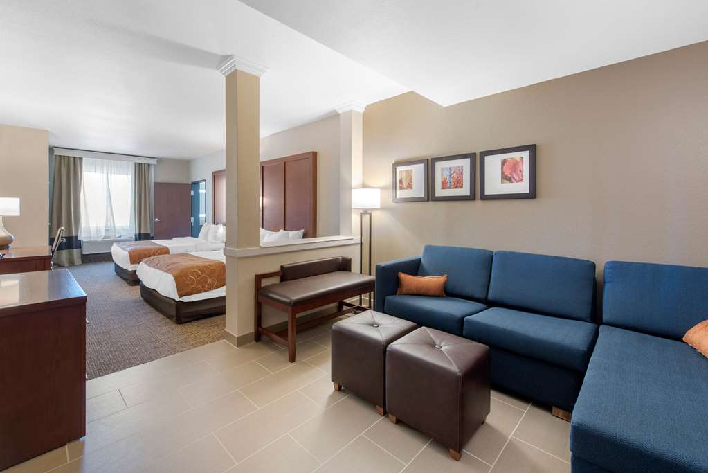 Comfort Suites Denver International Airport - photo 31