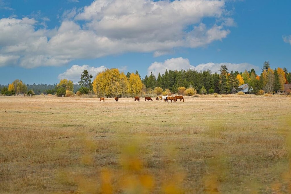 Awbrey Lane #7 by Village Properties at Sunriver - photo 28