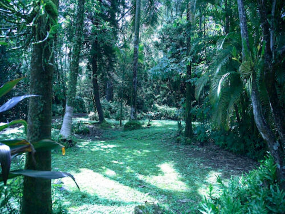 Enchanted Gardens - photo 22
