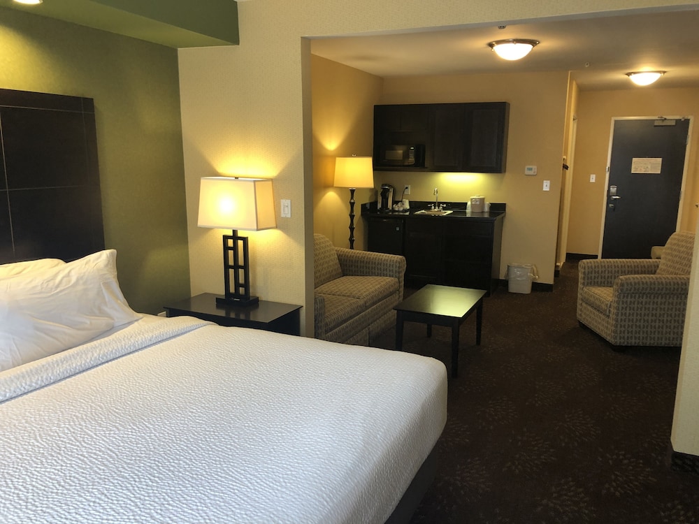 Holiday Inn Express Hotel & Suites Lansing Dimondale by IHG - photo 25