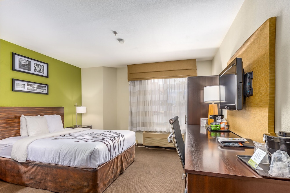 Garner Hotel Albuquerque Airport by IHG - photo 17