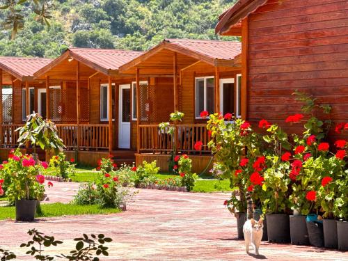 Venüs Gold Bungalov Adrasan in Kumluca, Turkey