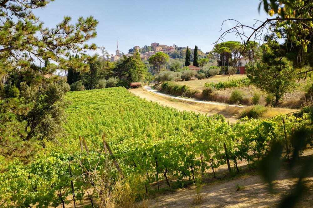 RomagnaBNB Il Vigneto Cottage — 4-Star Luxury Hotel in Bertinoro, Italy