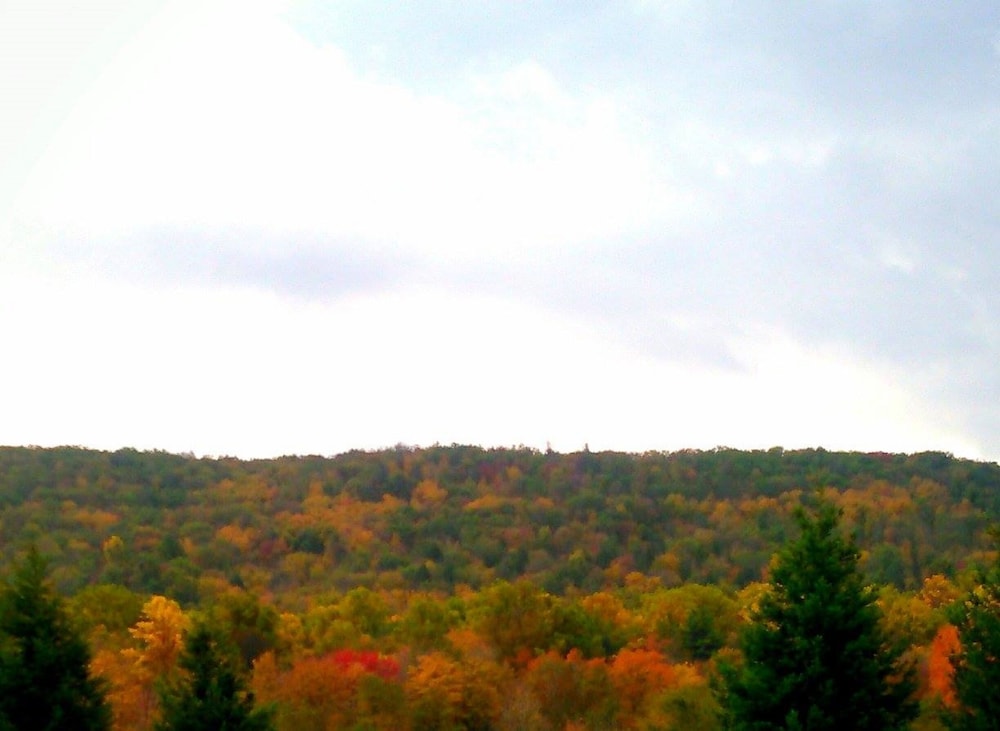 Hampton Inn Pine Grove - photo 88