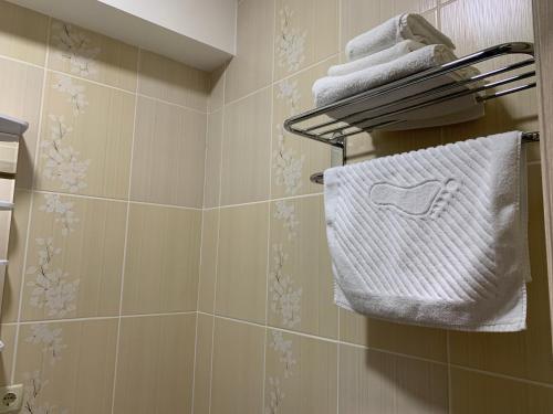 Hotel Aviator in Orel, Russia