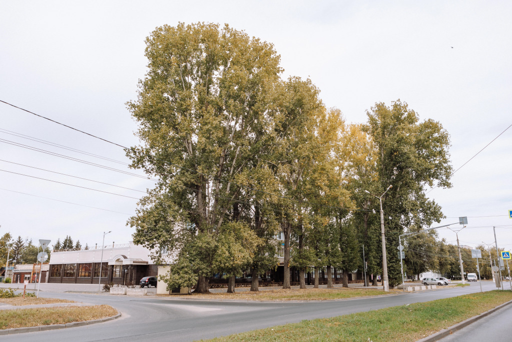 Zodiak Hotel in Tol'yatti, Russia