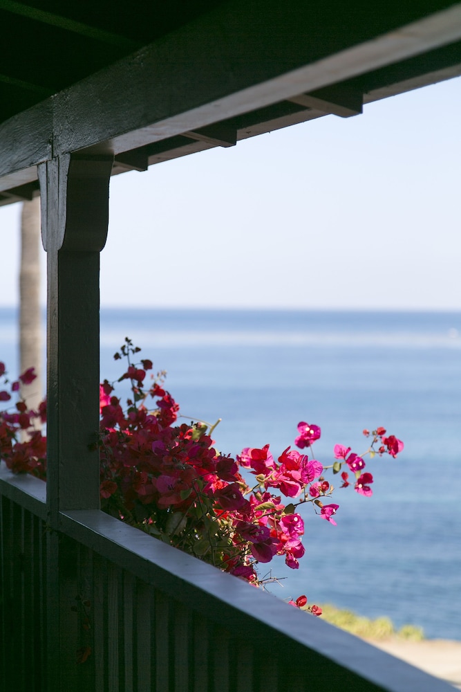 Scripps Inn La Jolla Cove - photo 24
