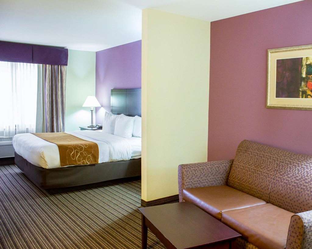 Comfort Suites Sanford - photo 16