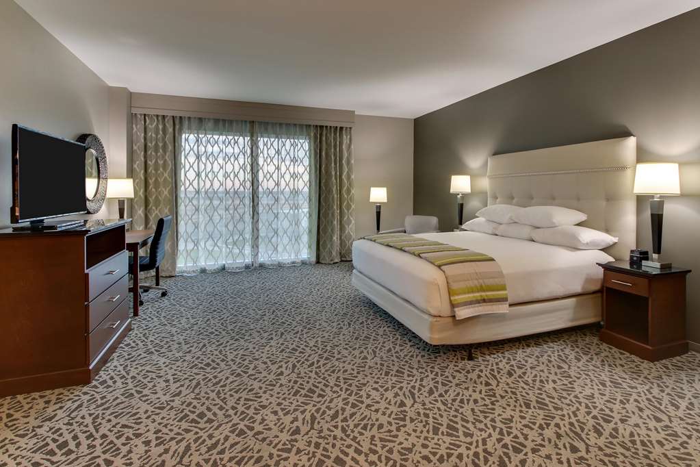 Drury Plaza Hotel Dallas Richardson - photo 28