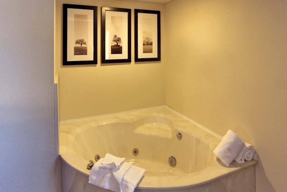 Blossom Hotel & Suites Traverse City - photo 39