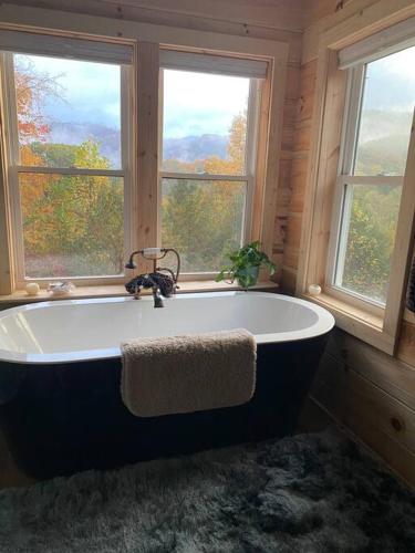Cabin with a view in Hot Springs walk to AT — 4-Star Luxury Hotel in Hot Springs, United States