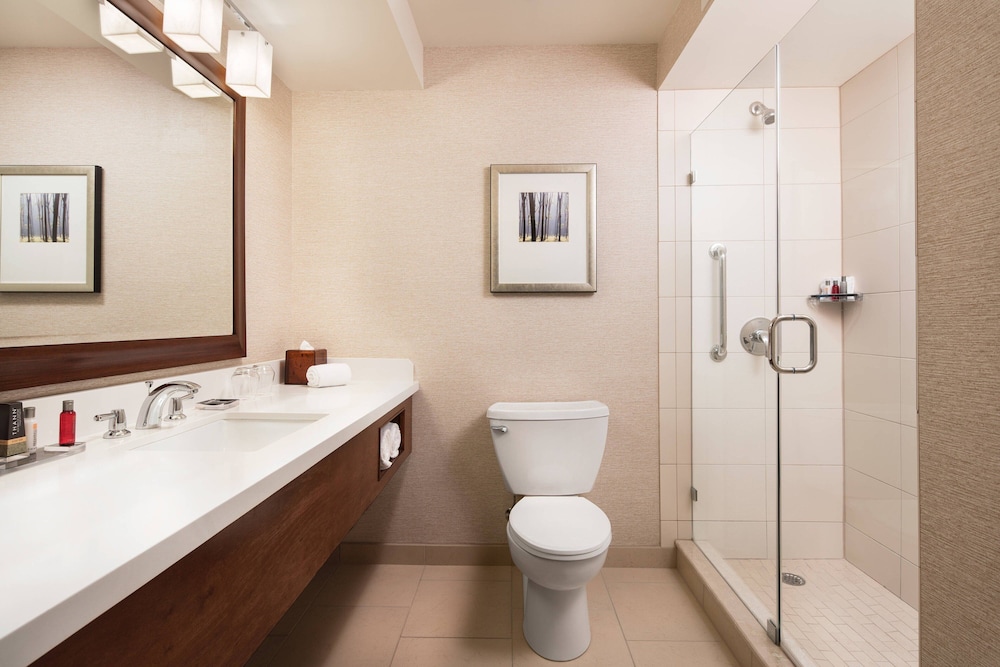 Chicago Marriott Naperville - photo 24