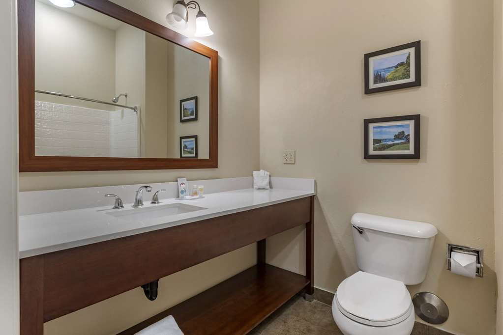 Comfort Inn & Suites Ukiah Mendocino County - photo 10