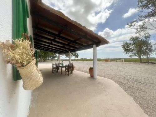 Masia Blanca — Deltebre — photo 4