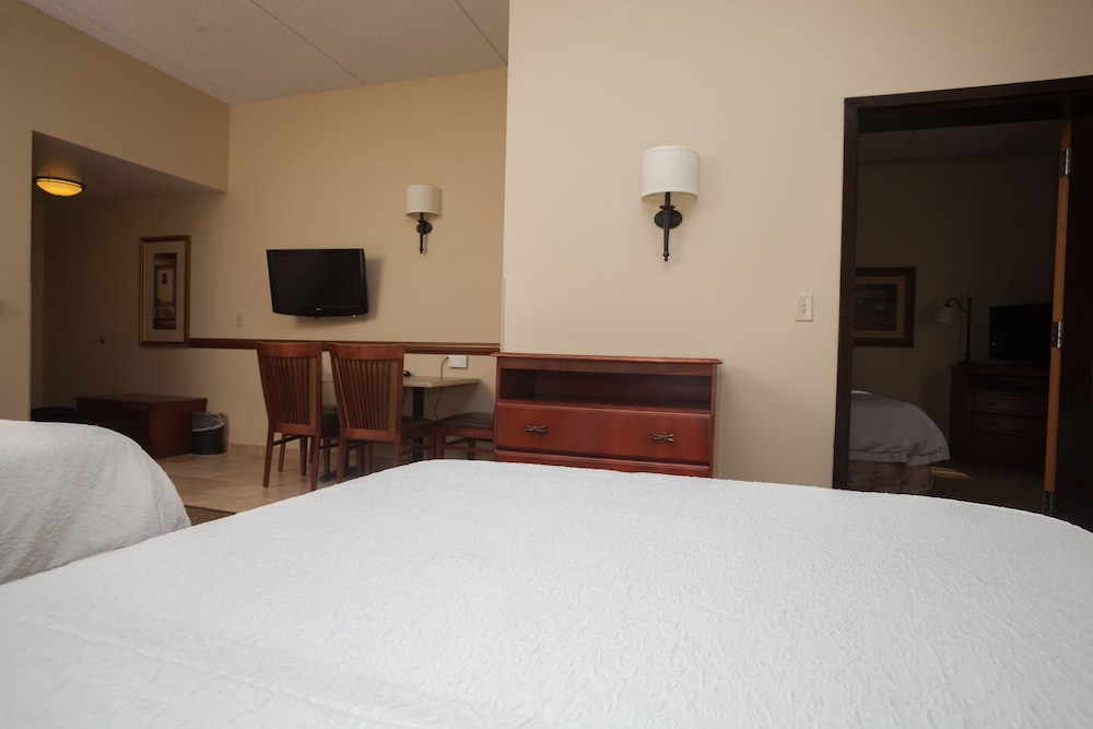 Hampton Inn Oneonta - photo 18