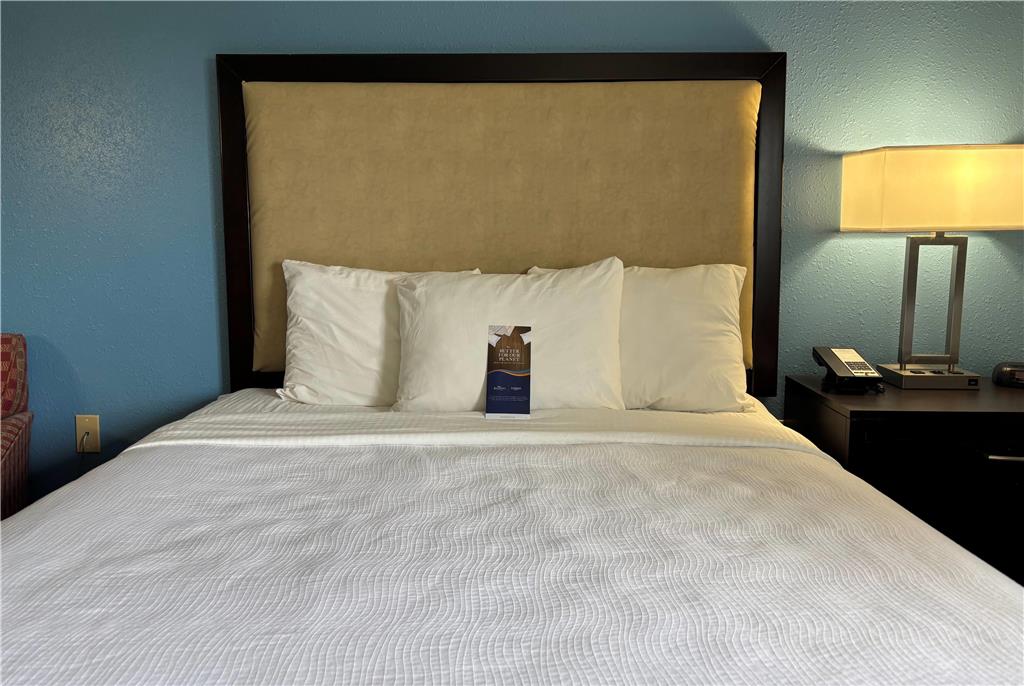 Baymont by Wyndham Litchfield - photo 9