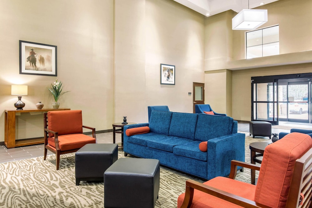 Comfort Inn & Suites IAH Bush Airport East - photo 2