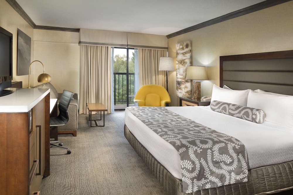 Crowne Plaza Resort Asheville by IHG - photo 22