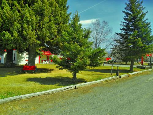 Bryce Canyon Motel - photo 6