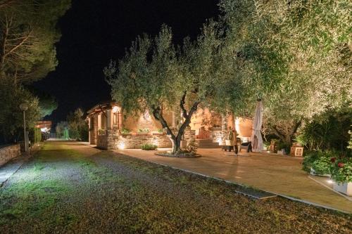 L’antica quercia — Andria — photo 2