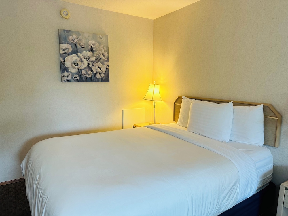Timberland Inn & Suites - photo 14